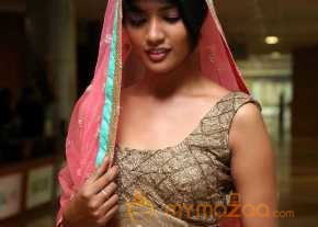 Alice Rosario Photoshoot At Hi Life Luxury Designer Exhibition photo 9
