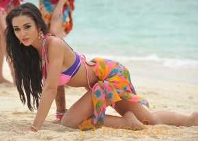 Amy Jackson photo 11