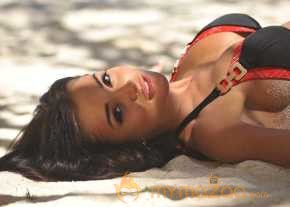 Amy Jackson photo 14
