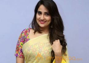 Anchor Manjusha Latest Photos in Saree photo 4