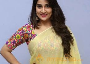 Anchor Manjusha Latest Photos in Saree photo 6