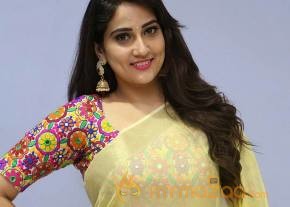 Anchor Manjusha Latest Photos in Saree photo 14