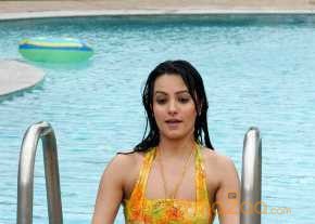 Anita Hassanadani Reddy photo 7
