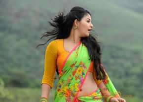 Anjali Langa Voni Pics photo 7