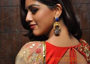 Anu Emmanuel Latest Photos photo 3