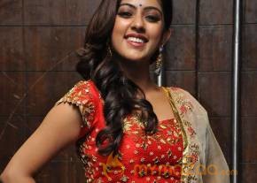 Anu Emmanuel Latest Photos photo 8