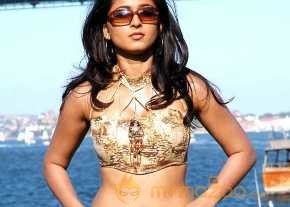  Anushka Shetty  photo 8