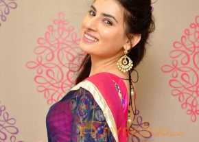  Archana Wearing Kanchivaram Collections  photo 4