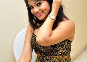  Ashwini Photoshoot At Hora Hori Audio Launch  photo 11