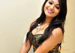  Ashwini Photoshoot At Hora Hori Audio Launch  photo 16