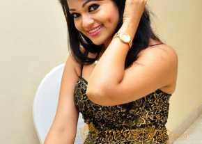  Ashwini Photoshoot At Hora Hori Audio Launch  photo 9