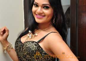  Ashwini Photoshoot At Hora Hori Audio Launch  photo 12