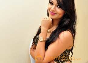  Ashwini Photoshoot At Hora Hori Audio Launch  photo 5