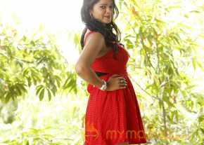 Ashwini Photoshoot At Pelliki Mundu Prema Katha Movie Launch photo 14