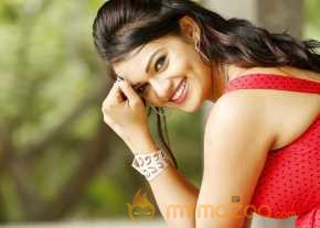 Ashwini Photoshoot At Pelliki Mundu Prema Katha Movie Launch photo 15