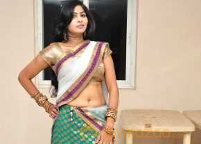 Bhanu Photoshoot At Bandook Audio Launch photo 15