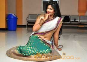 Bhanu Photoshoot At Bandook Audio Launch photo 13