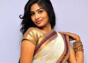Bhanu Photoshoot At Bandook Audio Launch photo 14