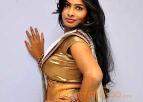 Bhanu Photoshoot At Bandook Audio Launch photo 3