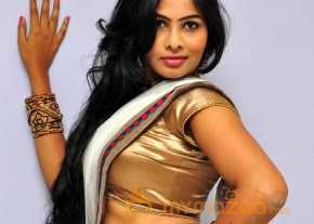 Bhanu Photoshoot At Bandook Audio Launch photo 11