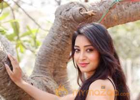  Bhanu Sri New Photoshoot  photo 12