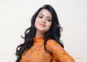  Bhavya Sri Latest Stills  photo 6