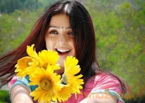Bhumika Chawla photo 11
