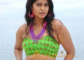  Bindhu Madhavi  photo 8