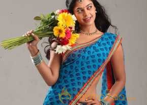 Bindhu Madhavi  photo 9