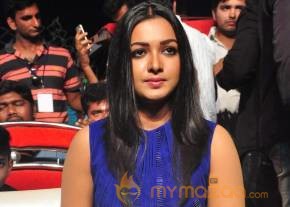 Catherine Tresa Stills At Sarrainodu Movie Blockbuster Function photo 2