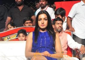Catherine Tresa Stills At Sarrainodu Movie Blockbuster Function photo 4