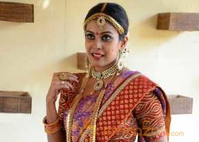 Chandini Tamilarasan Bridal Saree Photos photo 4
