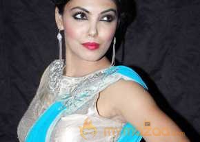  Deepa Blue Saree Stills  photo 5