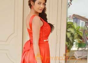  Diksha Panth Latest Pics  photo 16