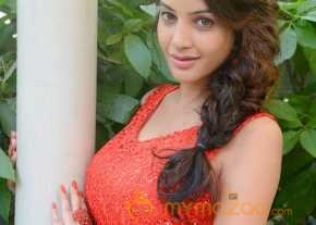 Diksha Panth Latest Pics  photo 19
