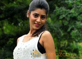 Gayathri Gupta Photoshoot photo 5