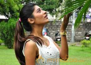 Gayathri Gupta Photoshoot photo 6