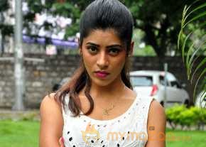 Gayathri Gupta Photoshoot photo 10