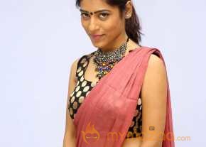 Gayathri Gupta Saree Stills photo 8