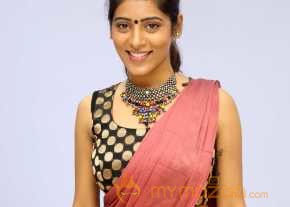 Gayathri Gupta Saree Stills photo 2