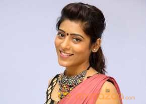 Gayathri Gupta Saree Stills photo 4