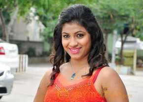 Geethanjali Thasya National Silk Expo Launch Stills photo 5