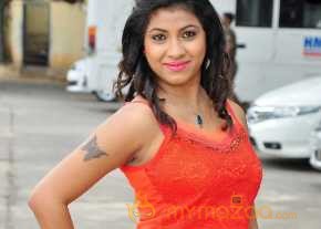 Geethanjali Thasya National Silk Expo Launch Stills