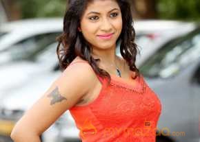 Geethanjali Thasya National Silk Expo Launch Stills photo 9