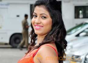 Geethanjali Thasya National Silk Expo Launch Stills photo 6