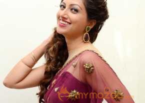  Hamsa Nandini Latest Stills 