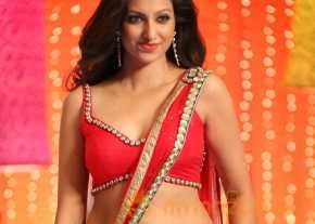  Hamsa Nandini  photo 2