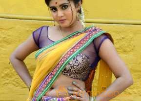 Harini Hot Half Saree Pics