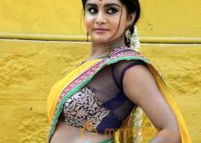 Harini Hot Half Saree Pics photo 3