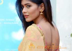  Hebah Patel New Photoshoot  photo 19